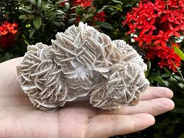 desert rose