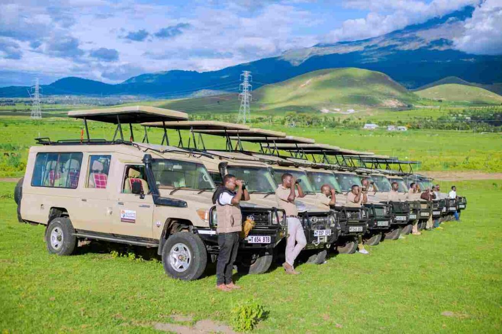 kiwoito Safari Jeeps and Guides